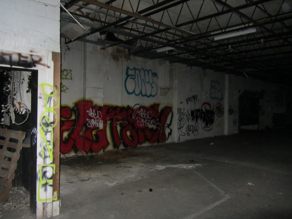 Tesla Science Center has to decide whether this dilapidated interior of the photo products warehouse will have to be torn down. (Photo credit: Spencer Rumsey/Long Island Press)
