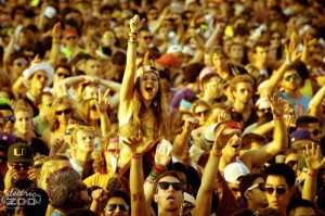 electric zoo