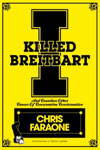 IKB COVER