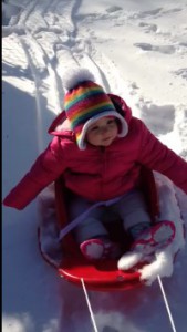 Mother Nature has been creating plenty of snow days for children of all ages across Long Island. This lil' tike in Islip enjoys a day of fun during one of last month's snowstorms.  (Timothy Bolger/Long Island Press) 