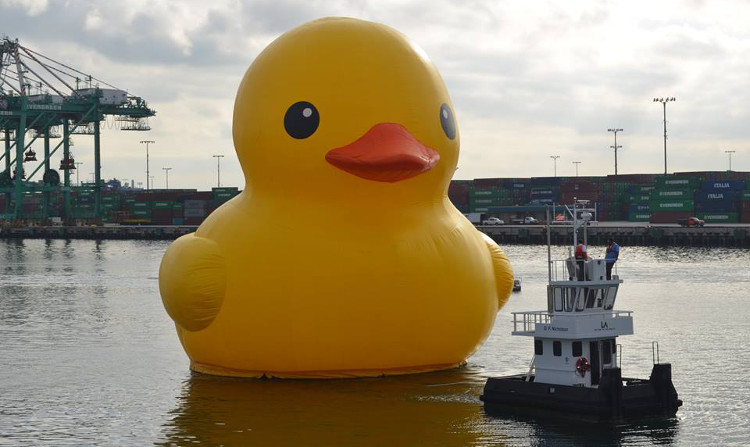 The "World's Largest" Rubber Duck will be attending the 32nd annual Oyster Festival in Oyster Bay's Theodore Roosevelt Park this weekend!