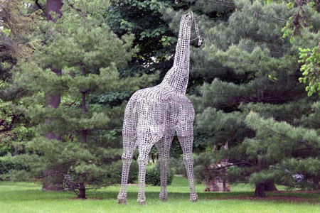 The Great Neck Giraffe