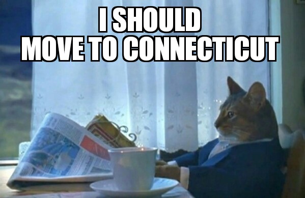 Reddit Cat