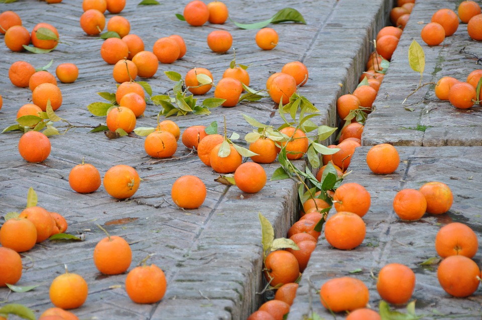 Oranges Street Fruit 425145