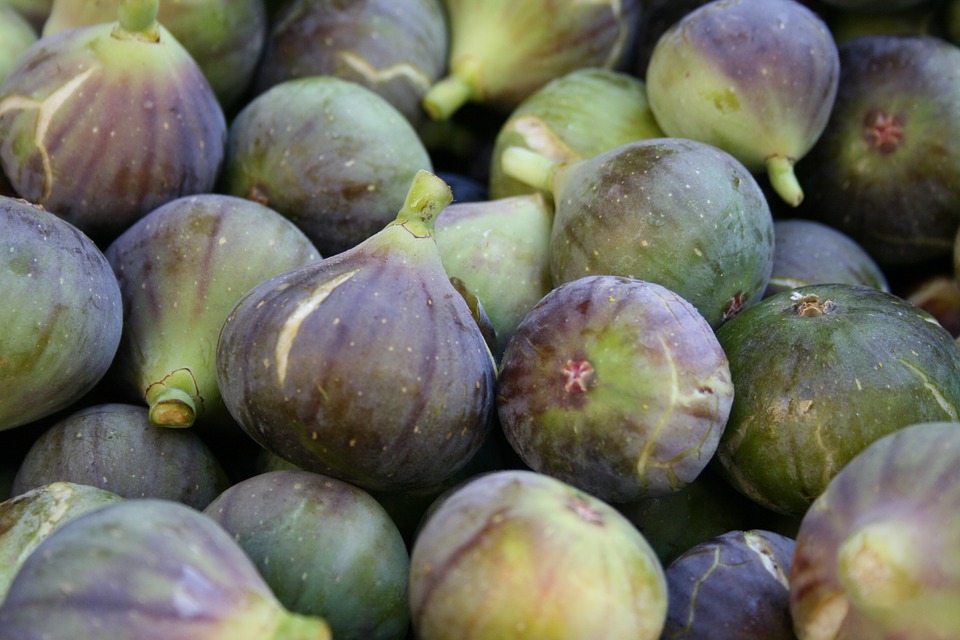 figs