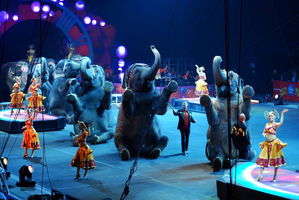 Ringling Brothers
