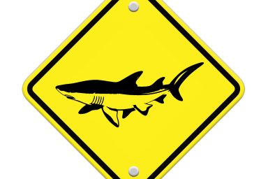 Shark sighting sign, Beach Closed