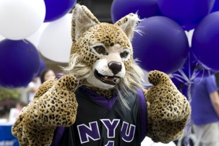 Webp.net resizeimage 2019 08 23T114501.705