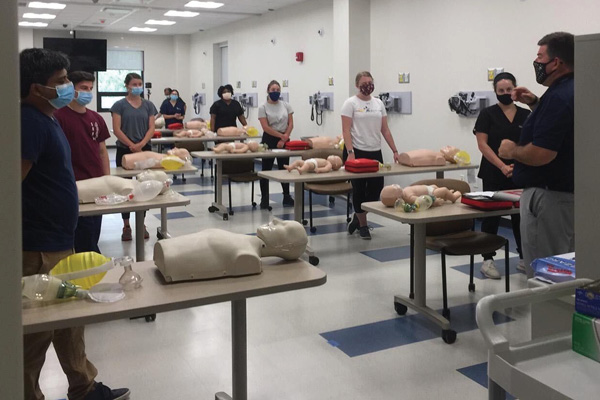 medical school ny