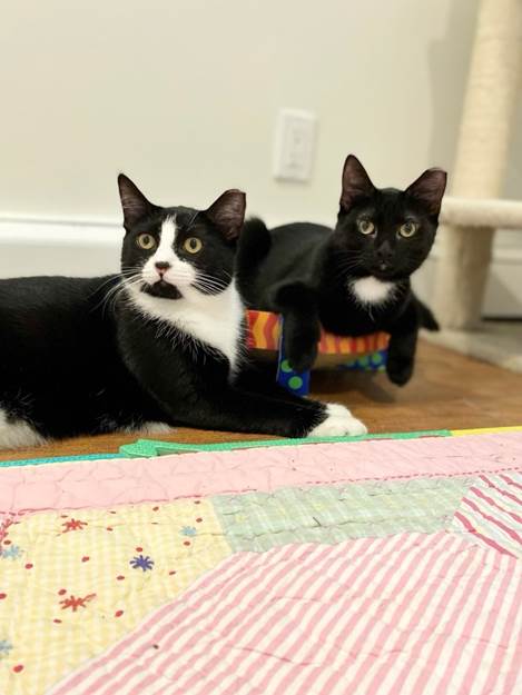Franny and Tessi