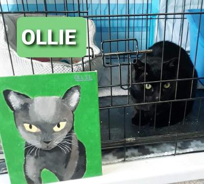 Ollie