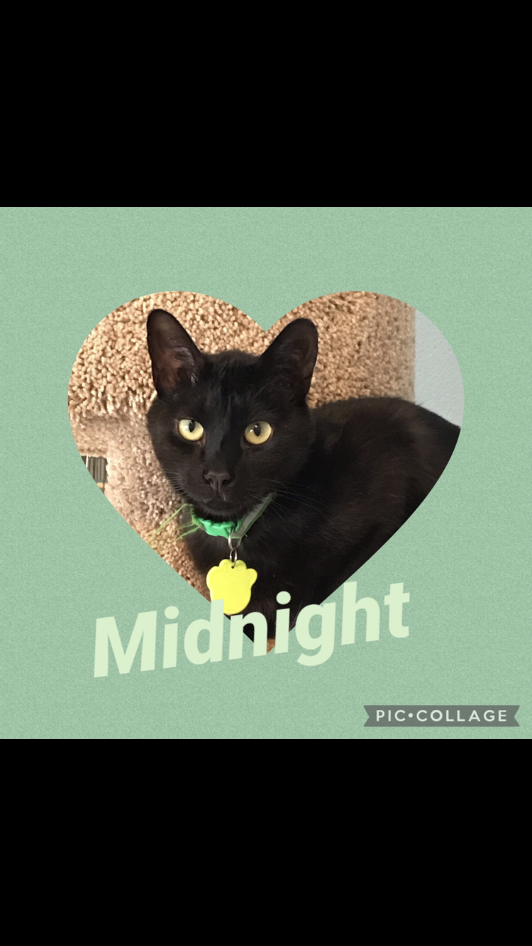 Midnight