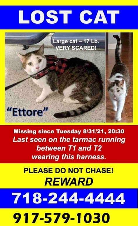 Ettore
