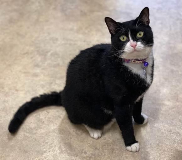 Mimi