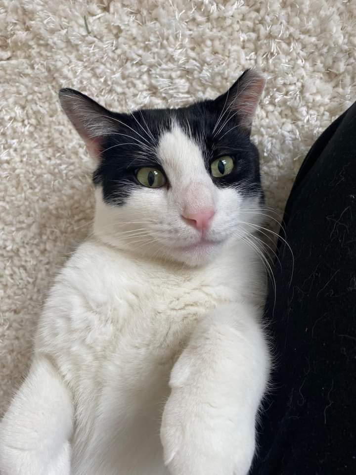 Jack