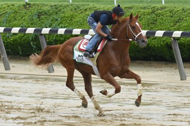 belmont stakes