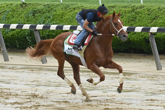 belmont stakes