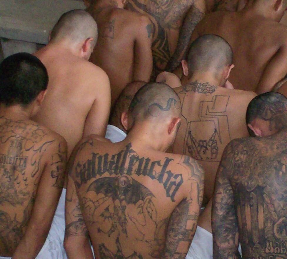 MS-13 Members MS13Members
