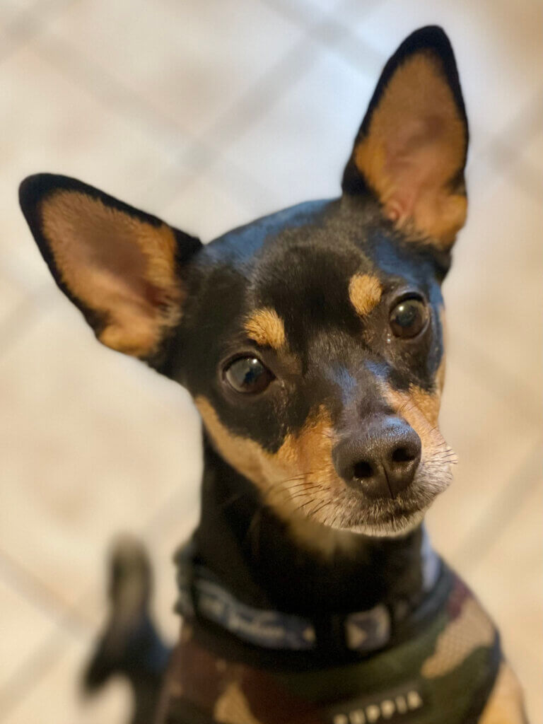 Charlie