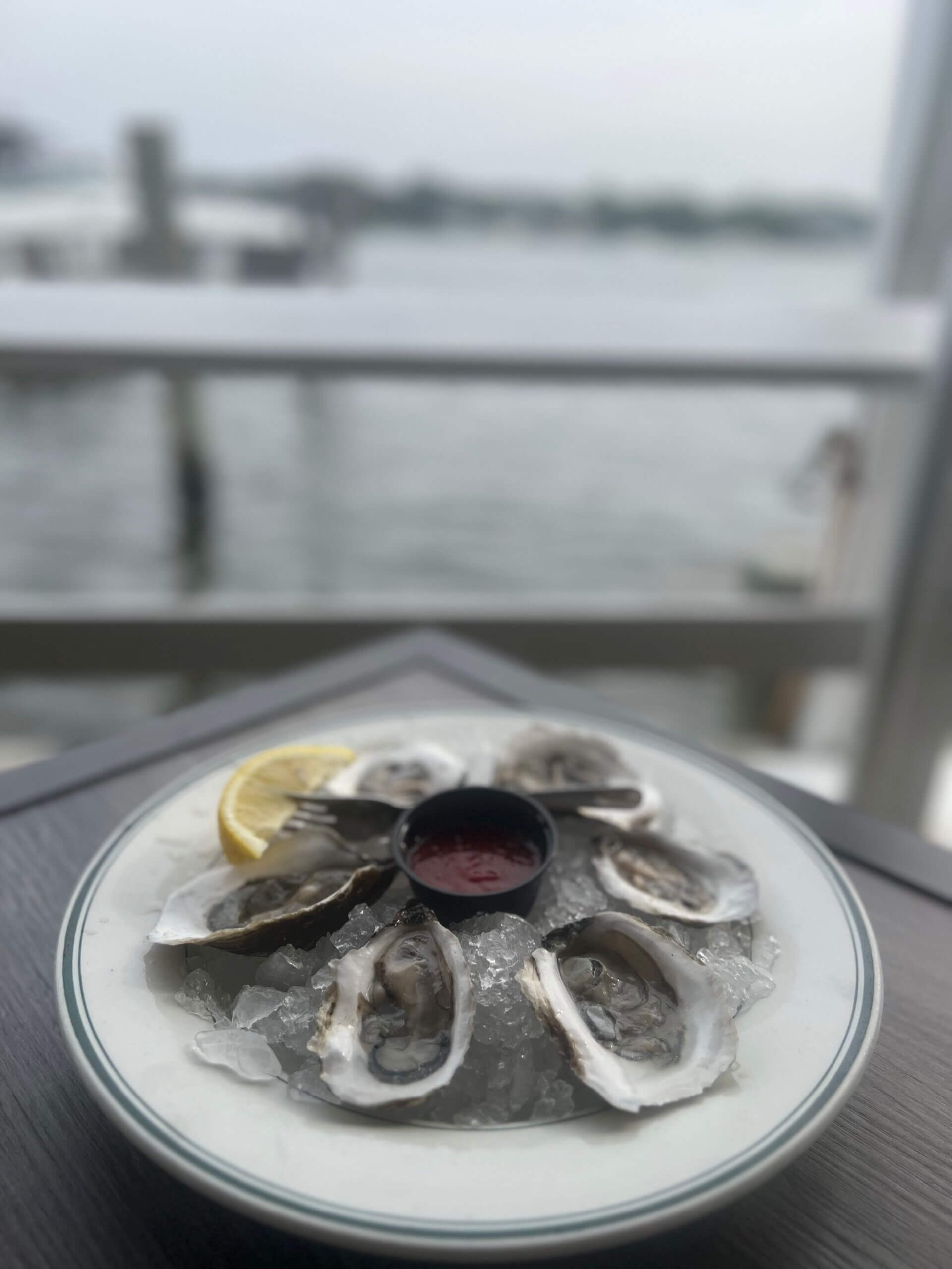 Oysters 2