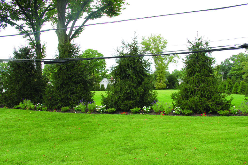 1029Subdivision 1 1024x683 1