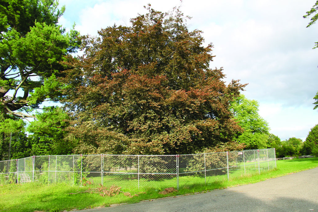 1029Subdivision 5 1024x683 1