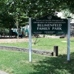 Blumenfeld 071118C
