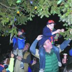 CPTreeLighting C 1024x683 1