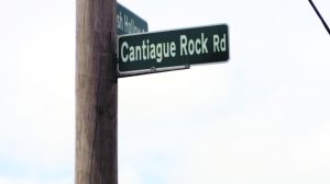 Cantiague Rock Road is a busy street in the Jericho-Westbury area.