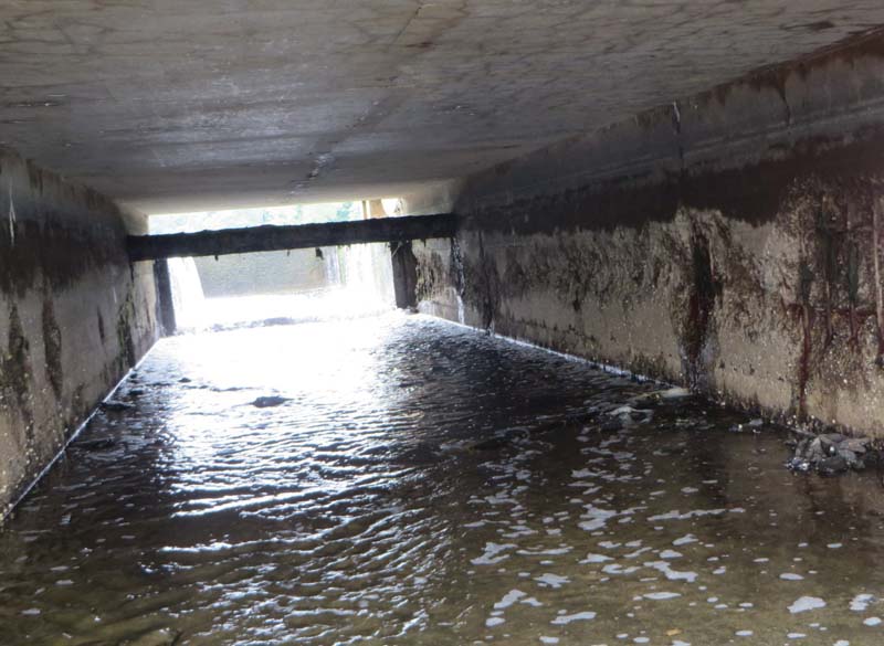Culvert 8