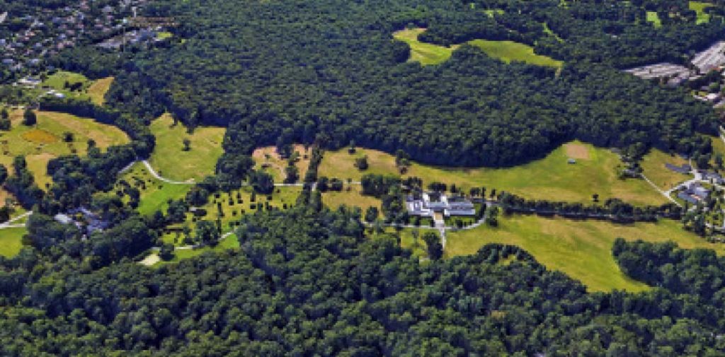 Greentree Google 1024x505 1