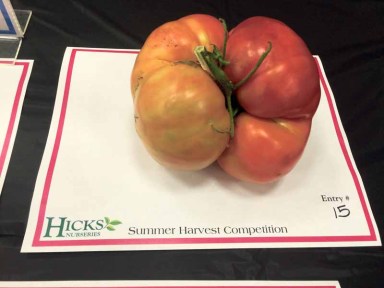 VeggieWinner_083116C