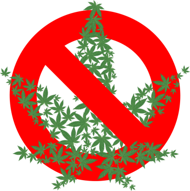 Cannabis_Cover 6-2_A