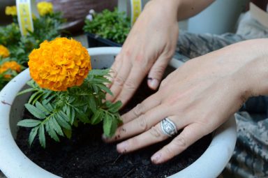 Column.PlantingThatSeed_042520.Image.Web
