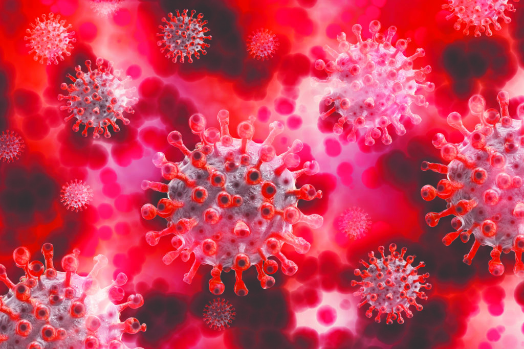 Coronavirus YIR_A