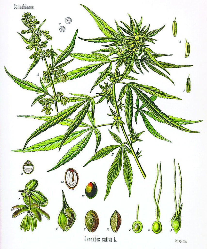 LICC Part III image 2
