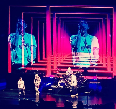 RHCPMSG-byMikeLoaf-Instagram