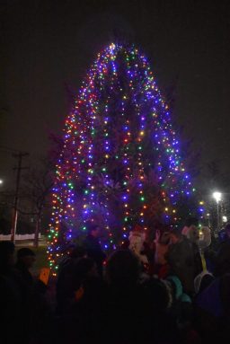 TreeLighting19_7098