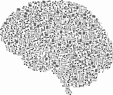 cranium-3244110_640