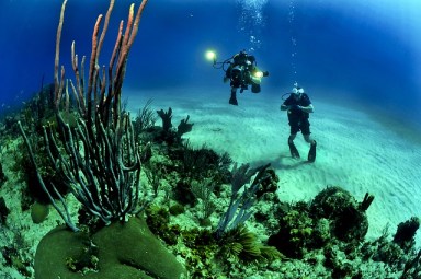 divers-681516_640