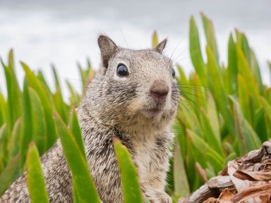 surprised-3786845_640