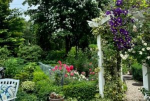 garden club D e1719002526124 495x334 1