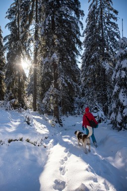 larisa-birta-dmbMfVq7ims-unsplash