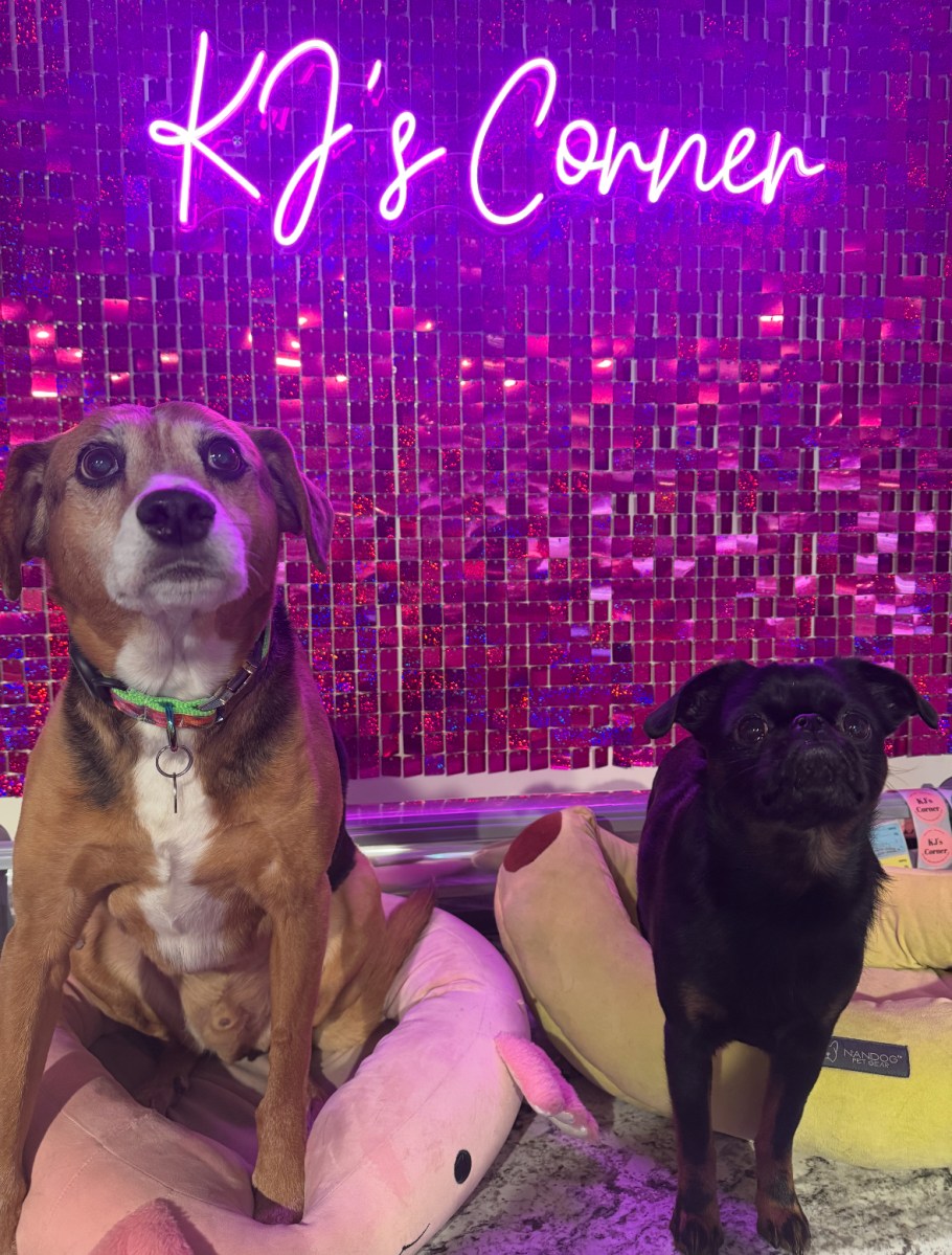 Midas (L.) and Fig (R.) greet customers at KJ's Corner, located on Glen Cove Avenue in Glen Head