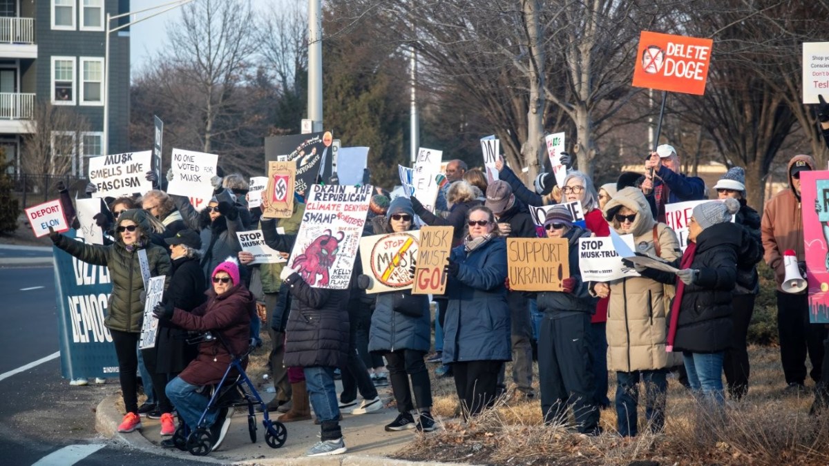 Hundreds of anti-Elon Musk protestors gather with signs and chants outside Westbury's Tesla dealership.