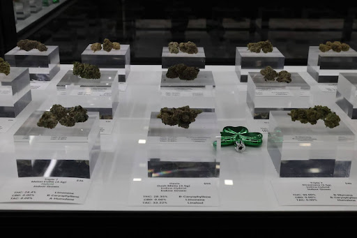 Plant Nugg Product