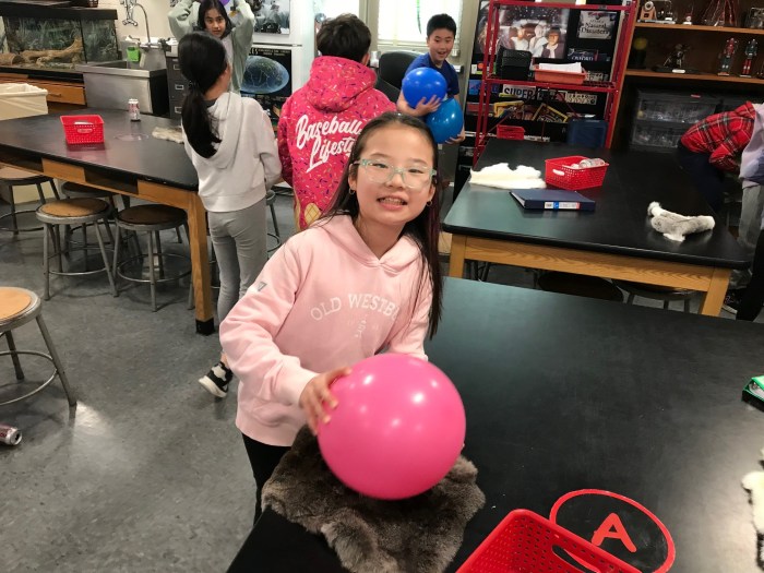 Shelter Rock students rubbed balloons on pelts to generate static electricity