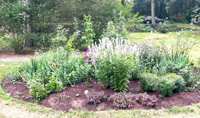 native gardening