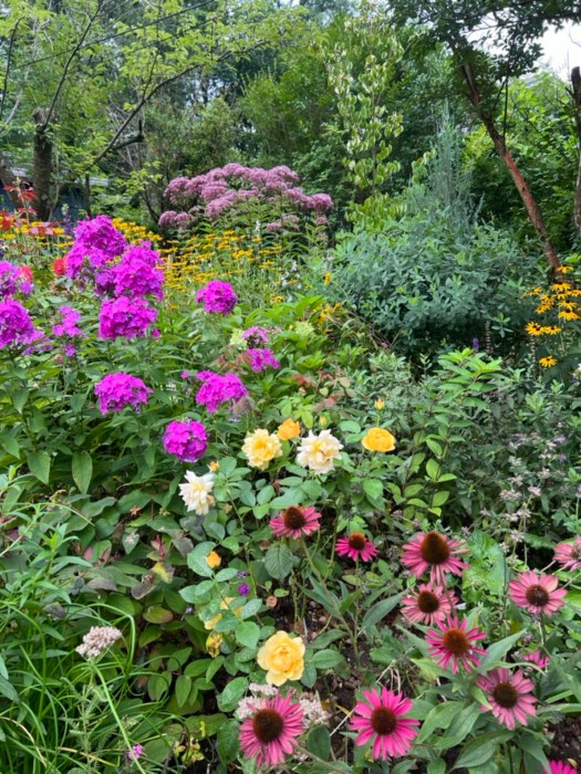 native gardening