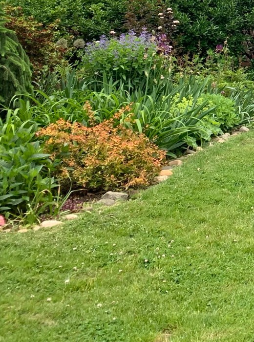 native gardening